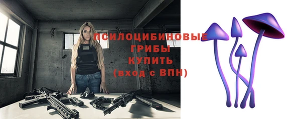 стаф Весьегонск
