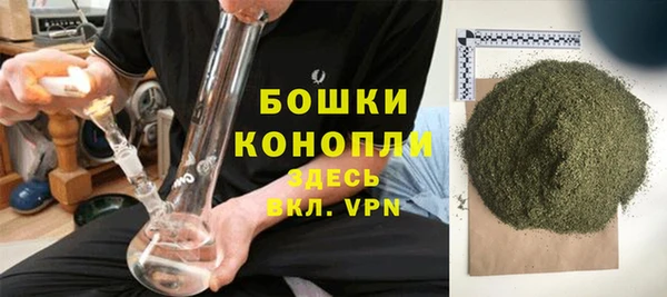 гашик Россошь
