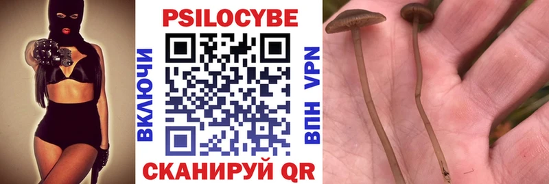 Псилоцибиновые грибы мухоморы Сафоново